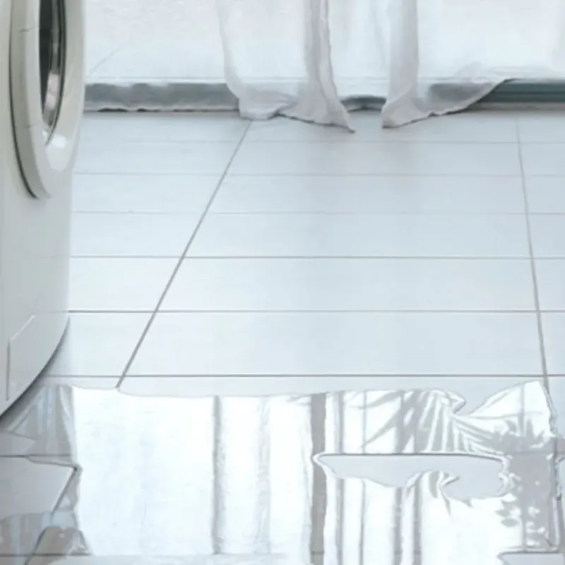 Appliance Leak Cleanup in Greensburg, IN