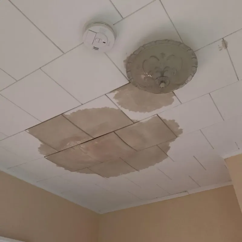 Ceiling Water Damage Repair in Greensburg, IN