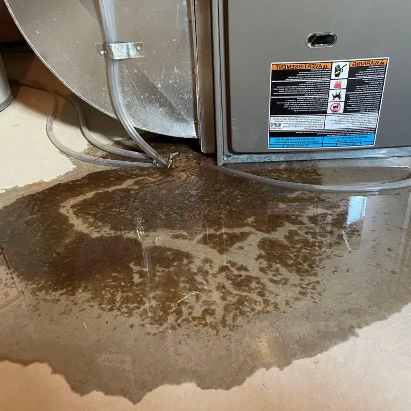 Pipe Burst and Leak Restoration in Greensburg, IN