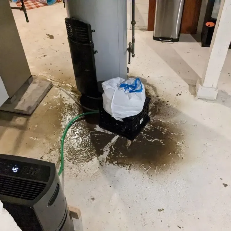 Sewage Backup Cleanup Service in Greensburg, IN